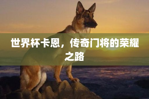 世界杯卡恩，传奇门将的荣耀之路