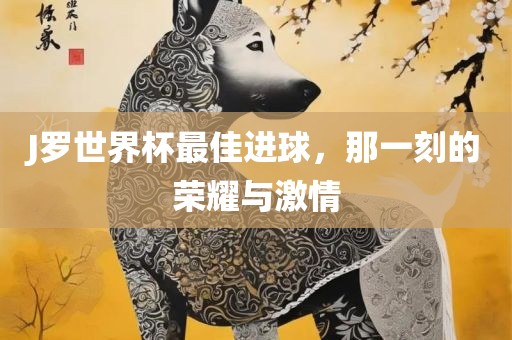 J罗世界杯最佳进球，那一刻的荣耀与激情