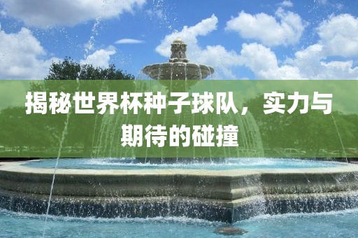 揭秘世界杯种子球队，实力与期待的碰撞