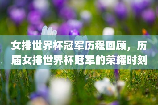 女排世界杯冠军历程回顾，历届女排世界杯冠军的荣耀时刻