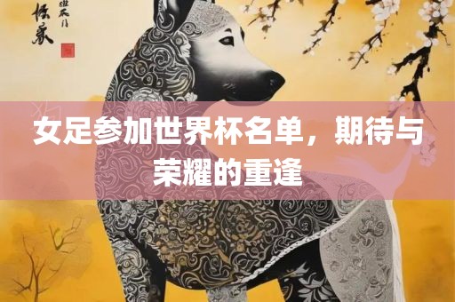 女足参加世界杯名单，期待与荣耀的重逢