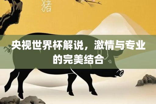 央视世界杯解说，激情与专业的完美结合