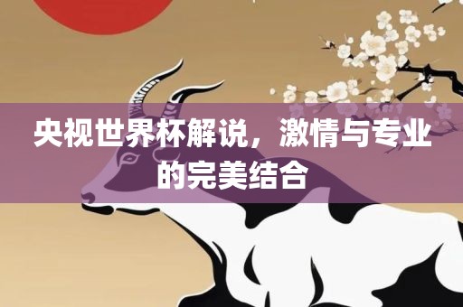 央视世界杯解说，激情与专业的完美结合