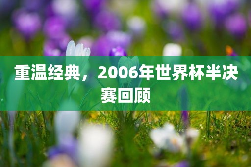 重温经典，2006年世界杯半决赛回顾