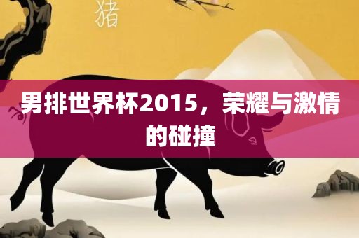 男排世界杯2015，荣耀与激情的碰撞