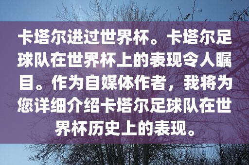 卡塔尔进过世界杯。卡塔尔足球队在世界杯上的表现令人瞩目。作为自媒体作者，我将为您详细介绍卡塔尔足球队在世界杯历史上的表现。