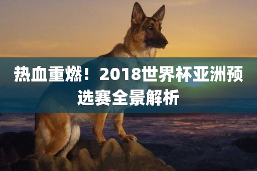 热血重燃！2018世界杯亚洲预选赛全景解析