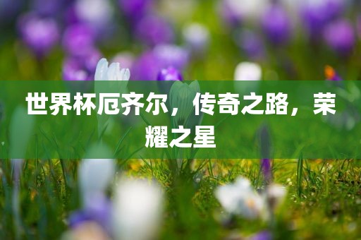 世界杯厄齐尔，传奇之路，荣耀之星