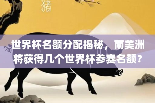 世界杯名额分配揭秘，南美洲将获得几个世界杯参赛名额？