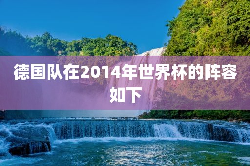 德国队在2014年世界杯的阵容如下