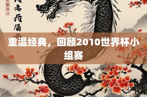 重温经典，回顾2010世界杯小组赛