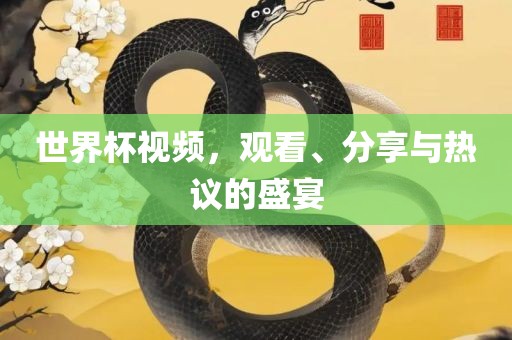 世界杯视频，观看、分享与热议的盛宴