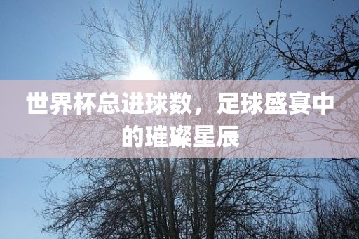 世界杯总进球数，足球盛宴中的璀璨星辰