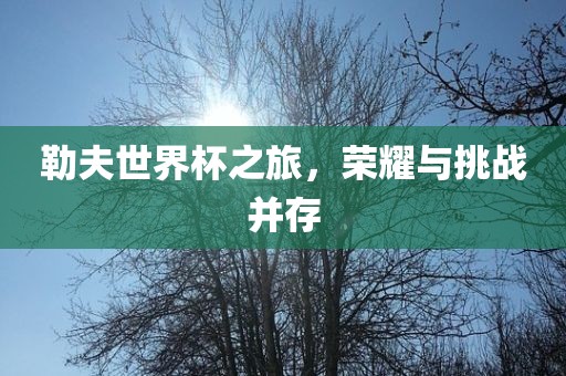 勒夫世界杯之旅，荣耀与挑战并存