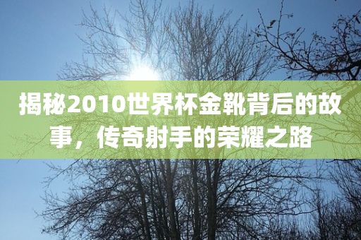 揭秘2010世界杯金靴背后的故事，传奇射手的荣耀之路
