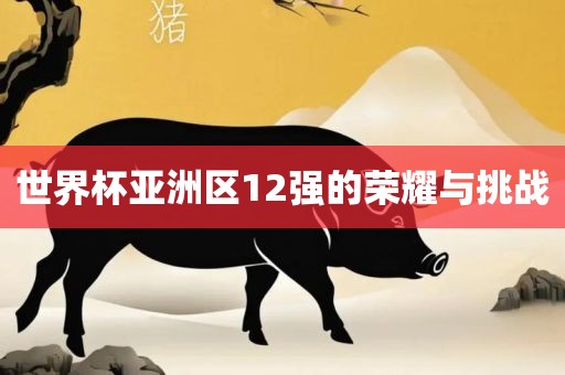 世界杯亚洲区12强的荣耀与挑战
