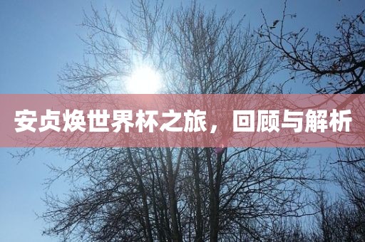 安贞焕世界杯之旅，回顾与解析