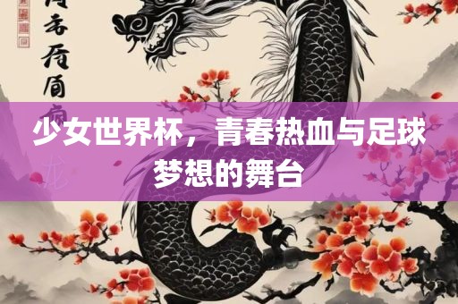少女世界杯，青春热血与足球梦想的舞台