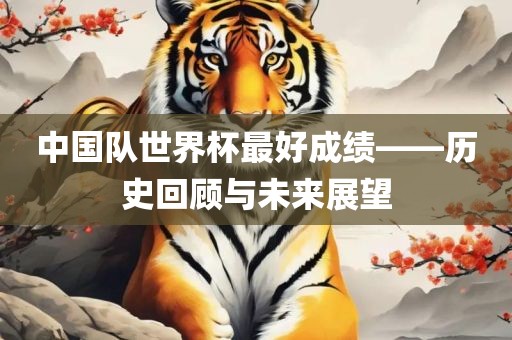 中国队世界杯最好成绩——历史回顾与未来展望