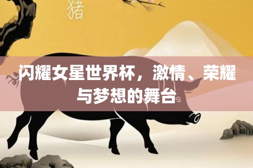闪耀女星世界杯，激情、荣耀与梦想的舞台