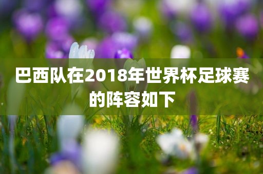 巴西队在2018年世界杯足球赛的阵容如下