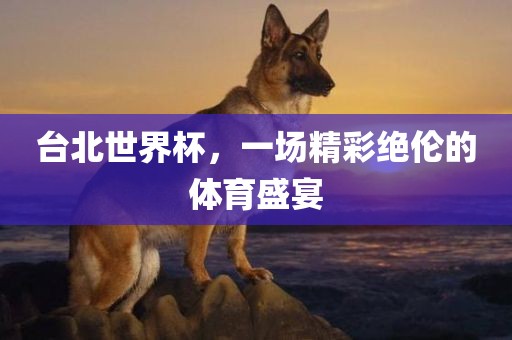 台北世界杯，一场精彩绝伦的体育盛宴