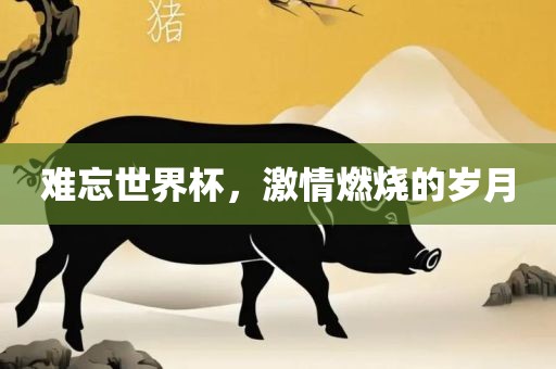 难忘世界杯，激情燃烧的岁月