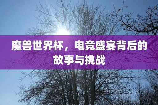 魔兽世界杯，电竞盛宴背后的故事与挑战