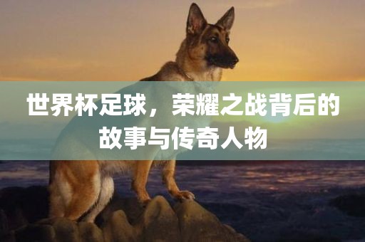 世界杯足球，荣耀之战背后的故事与传奇人物