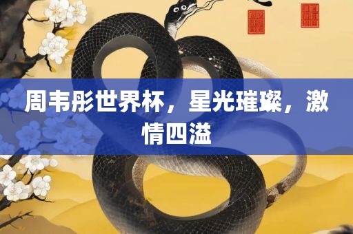 周韦彤世界杯，星光璀璨，激情四溢