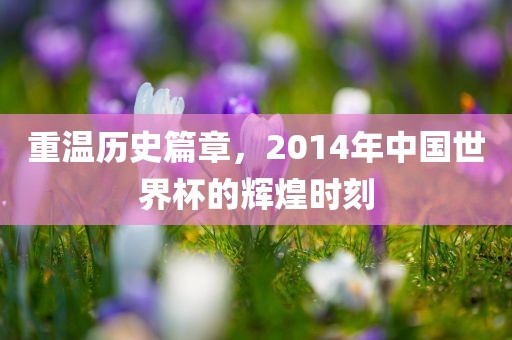 重温历史篇章，2014年中国世界杯的辉煌时刻