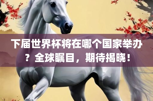 下届世界杯将在哪个国家举办？全球瞩目，期待揭晓！