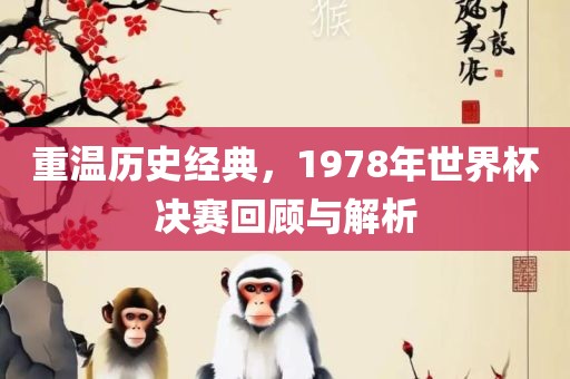 重温历史经典，1978年世界杯决赛回顾与解析