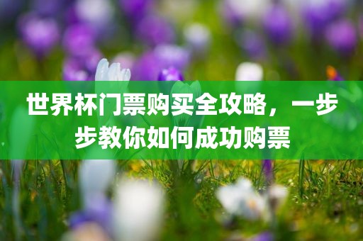 世界杯门票购买全攻略，一步步教你如何成功购票