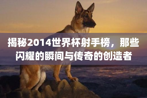 揭秘2014世界杯射手榜，那些闪耀的瞬间与传奇的创造者