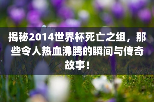 揭秘2014世界杯死亡之组，那些令人热血沸腾的瞬间与传奇故事！