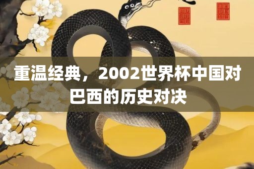 重温经典，2002世界杯中国对巴西的历史对决