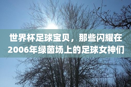 世界杯足球宝贝，那些闪耀在2006年绿茵场上的足球女神们