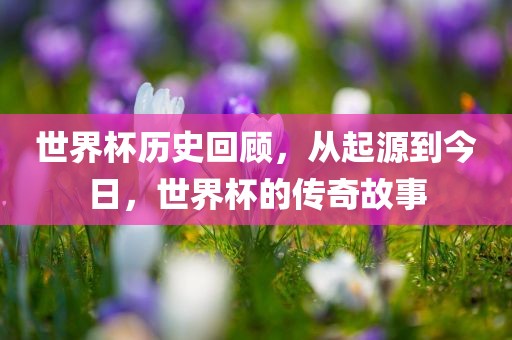 世界杯历史回顾，从起源到今日，世界杯的传奇故事