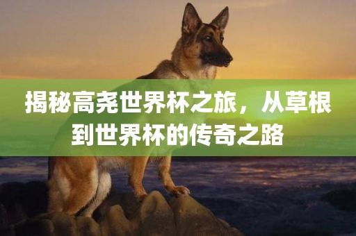 揭秘高尧世界杯之旅，从草根到世界杯的传奇之路