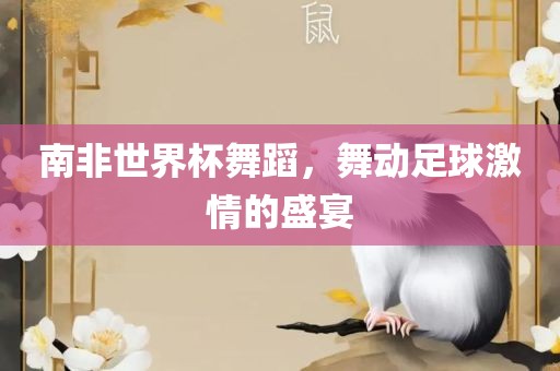 南非世界杯舞蹈，舞动足球激情的盛宴