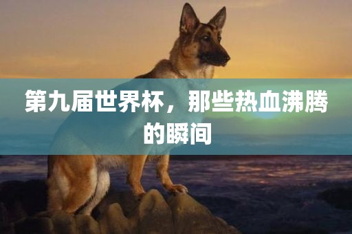 第九届世界杯，那些热血沸腾的瞬间
