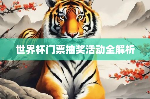 世界杯门票抽奖活动全解析