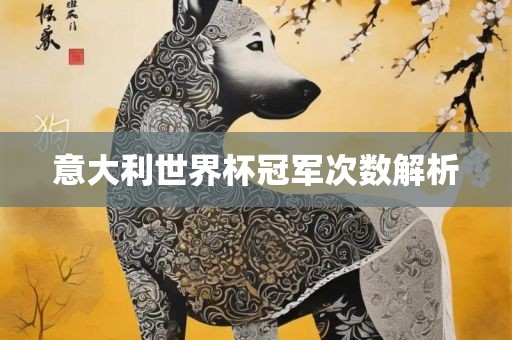 意大利世界杯冠军次数解析