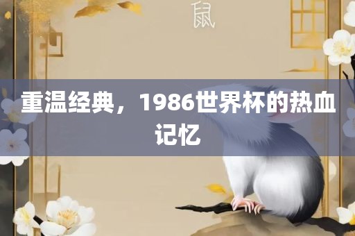 重温经典，1986世界杯的热血记忆