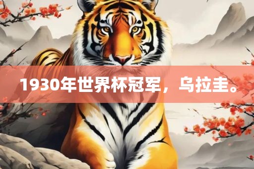 1930年世界杯冠军，乌拉圭。