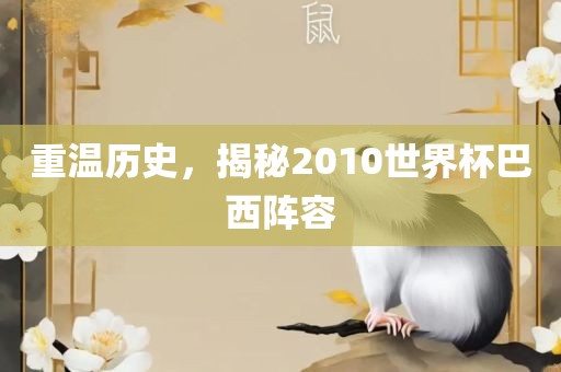 重温历史，揭秘2010世界杯巴西阵容