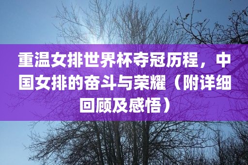 重温女排世界杯夺冠历程，中国女排的奋斗与荣耀（附详细回顾及感悟）