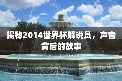 揭秘2014世界杯解说员，声音背后的故事