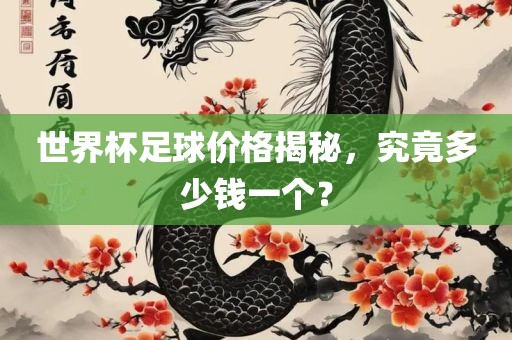 世界杯足球价格揭秘，究竟多少钱一个？